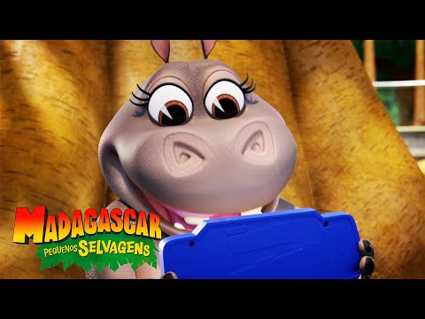 Capa de Gloria e o Wacky-Stacky | Madagascar: Pequenos Selvagens