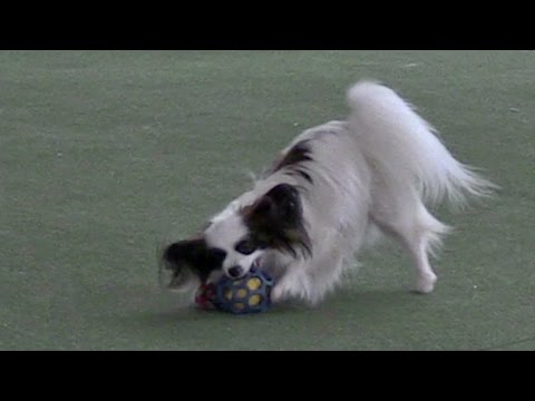 Agi Lisen Unor 2015 Tatiana a Najla