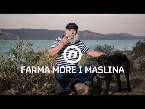 Upoznajte novog mentora - Farma More i Maslina