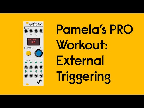 Pamela's PRO Workout: Trigger Modifier - Externally Triggering Envelopes & Random