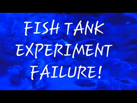 Fish Tank EXPERIMENT FAILURE!