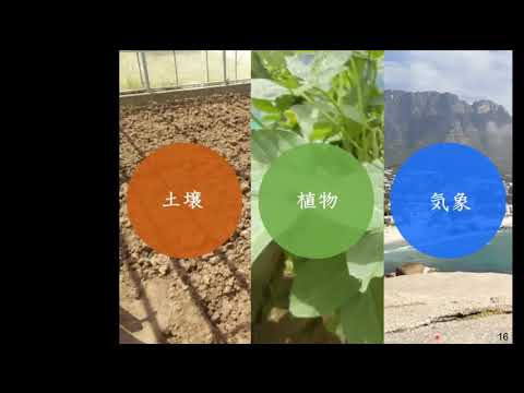 模擬講義「沙漠緑化と気候変動への取り組み」