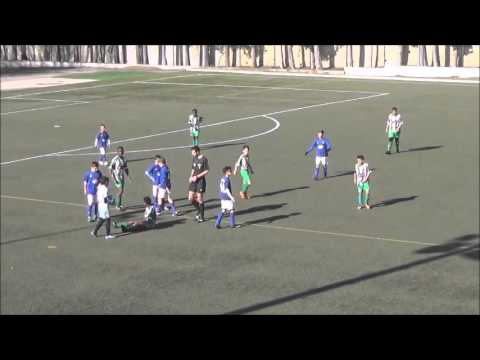 Dragon Force 5 X 4 Camarate