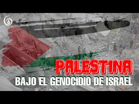 Palestina bajo el genocidio de Israel | En Investigación