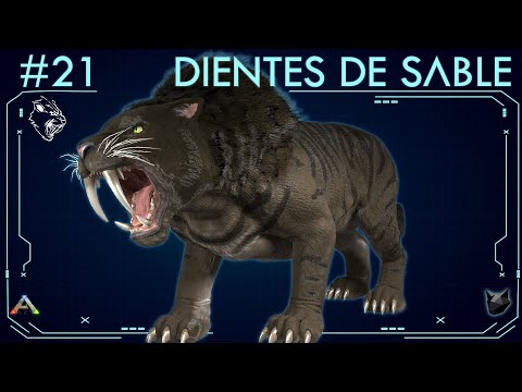 EVERYTHING ABOUT THE SABERTOOTH (#21) | ARK: Survival Evolved | Dossiers La Isla |