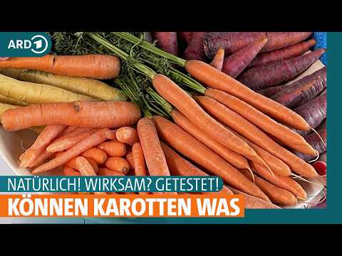 Möhren: Gesundes Gemüse und gutes Hausmittel bei Durchfall | ARD Gesund