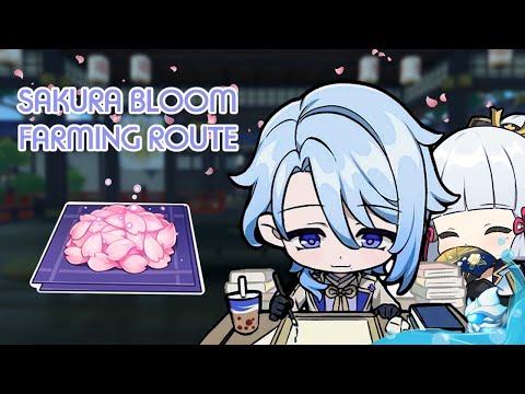Sakura Bloom Local Specialty Farming Route - Genshin Impact Guide