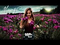 DJ GROSSU _ Magical Vibes | Best Amazing Instrumental Bass👑Official Song
