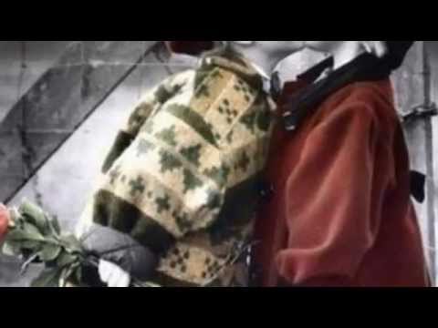 A Menina Que Cresceu - Barros de Alencar - Janisvaldo