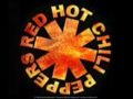 Stadium Arcadium Jam: Red Hot Chili Peppers 