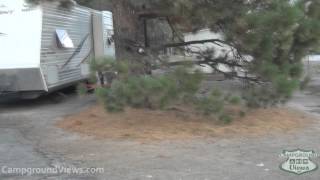 preview picture of video 'CampgroundViews.com - Pine Tree RV & Mobile Home Park Fawnskin California CA'