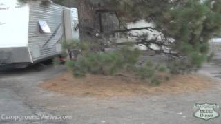 Pine Tree RV & Mobile Home Park Video