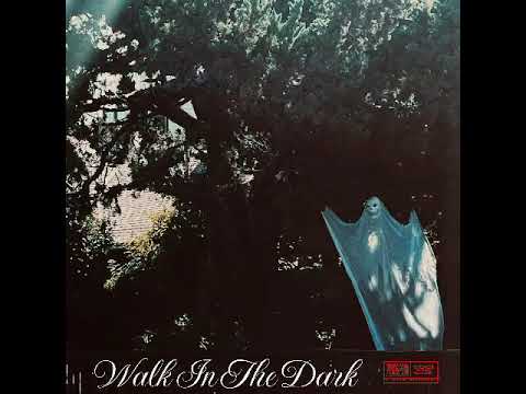 Videoclip de Walk In The Dark — Ryan Adams