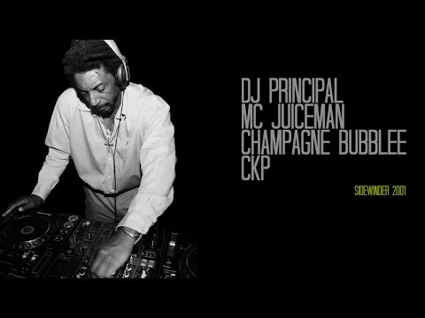 DJ Principal - Sidewinder (2001) [1/5]