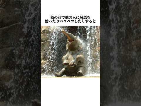 アフリカゾウ(左)とアジアゾウ(右)