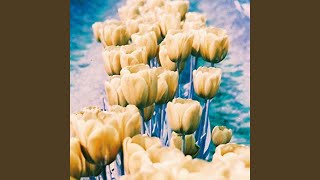 Beyond A Chemical Reaction