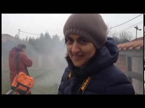 Despite the Falling Snow-Snow Test