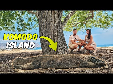 3-TÄGIGE KOMODO-BOOTSTOUR: Einzigartige Reise in Indonesien (Liveaboard im Nationalpark Komodo)