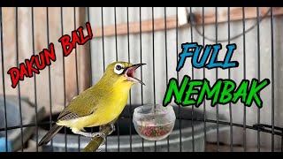 Download lagu Special...!!! Pleci Dakbal Shoots Material Suitable for Masters mp3 Download lagu Special...!!! Pleci Dakbal Shoots Material Suitable for Masters mp3