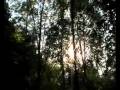 Delorean  - SUBIZA - ENDLESS SUNSET - 2010 (Video No Oficial)