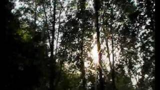 Delorean  - SUBIZA - ENDLESS SUNSET - 2010 (Video No Oficial)