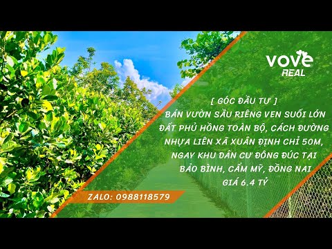 Bán vườn sầu riêng ven suối, đất phủ hồng, cách đường liên xã Xuân Định chỉ 50m
