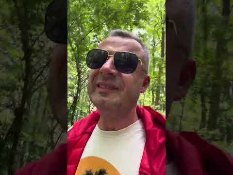 Unikać kobiet pułapek