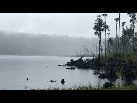 Gentle Rain at Misty Lake for 10 Hours for Relaxing, Sleeping, Studying. RAIN Sounds, Sound of Rain
