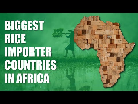 , title : 'IMPORT EXPORT BUSINESS: WHAT ARE THE BEST COUNTRIES TO TARGET FOR RICE IMPORTS IN AFRICA (2021)'