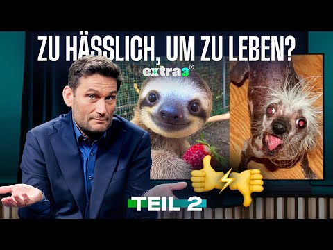Artenschutz: Wer nicht süß ist, stirbt aus | Legales Weed, hohe Hürden | extra 3 vom 19.02.2026 · Te