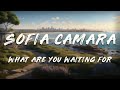 Sofia Camara - What Are You Waiting For? (Lyrics)