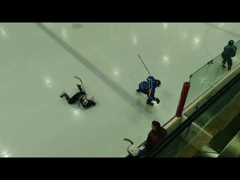 Jää-Ahmat Black - Sputnik Tallinna