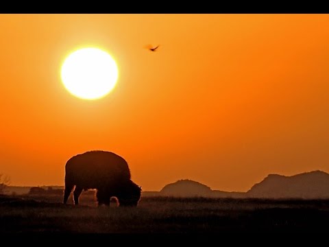 Highway durch die Prärie 1   Weites Grasland   Trailer