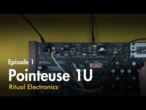 Ritual Electronics Pointeuse - 1U image 2