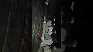 صلاة الله تغشاه