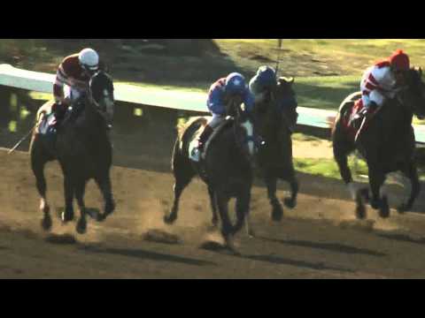 Great Lady M Stakes, Race 8, April 23, 2016