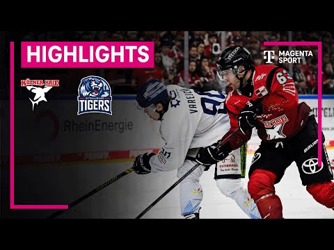 Kölner Haie - Straubing Tigers | PENNY DEL | MAGENTA SPORT