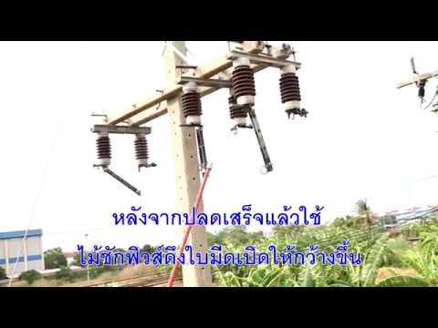 เหมือนการโกจิเบอร์รี่สำหรับแรง หญ้าเพิ่มขึ้นแรงหญิง