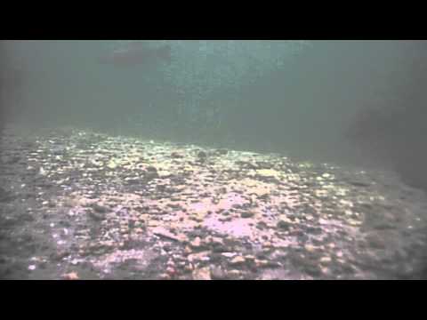 Karpfenangeln 134 Videotagebuch TEASER