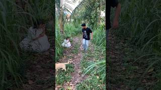 Download lagu ADA PUTRI C4NTIK DI TENG4H HUT4N mp3