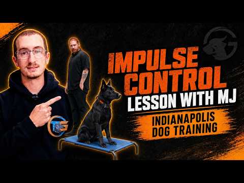 Tristan Gibson Dog Training video.