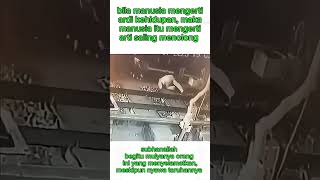 Download lagu mempertaruhkan nyawa #subhanallah#allahuakbar mp3