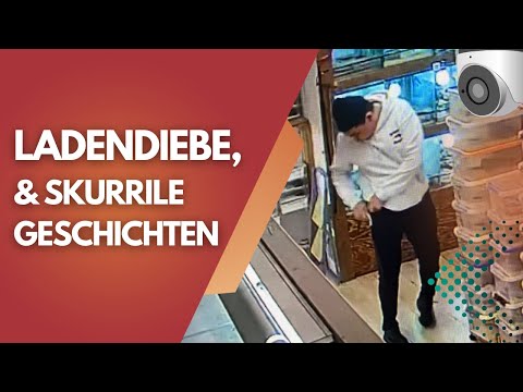 Shoplifters at M&S Reptilien – The 6 Craziest Stories from 20 Years in the Reptile Trade! 🐍