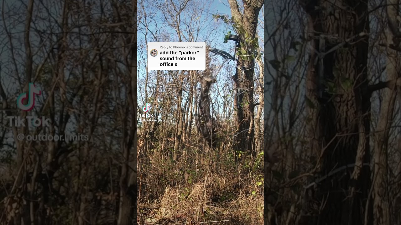 I Fell From My Tree Stand #deerhunting #bowhunting #hunting