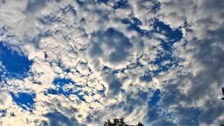 Willie Nelson - &quot;American Tune&quot;