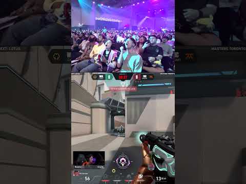 Crowd goes wild for a 500 IQ Omen TP