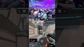 Crowd goes wild for a 500 IQ Omen TP