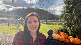 Planting Up a Huge Fall Wooden Container | EverCrest