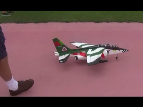 Alpha Fighter ducted fan EP RC Jet airplane WATTS 2010 SMMAC