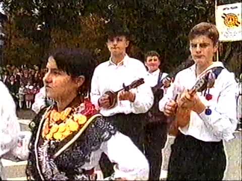 Vinkovačke jeseni 1996. - mimohod